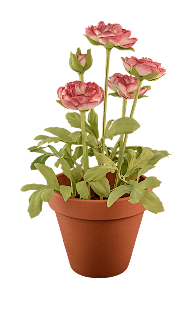 Semi transparent PNG for drop shadow demo